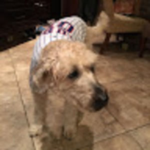 Meet your Posher, Kristen